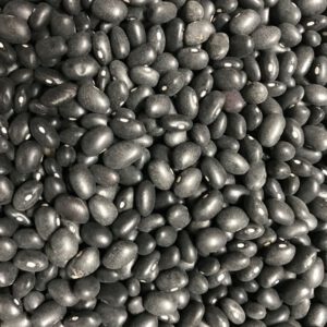 zwarte bonen zaden